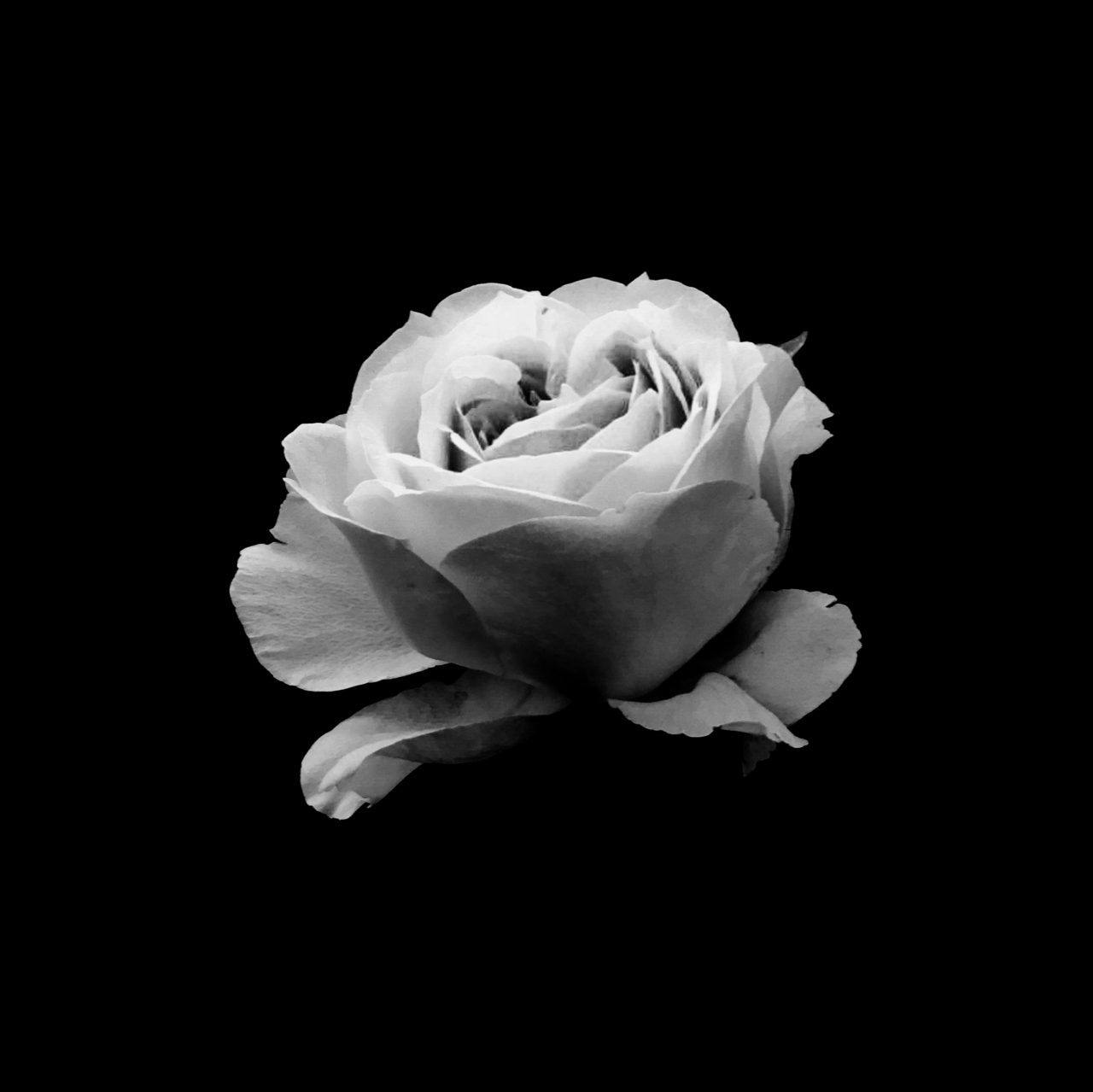 ミニマリスト/ミニマリズム